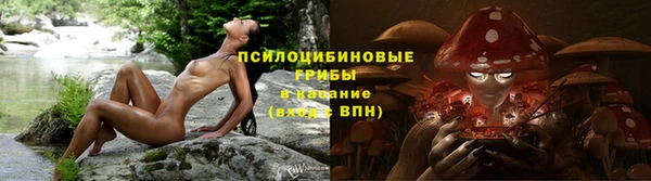 прущие грибы Богородицк