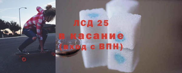 spice Богородск