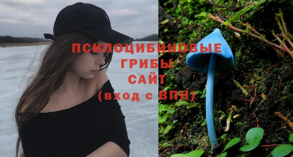 молекула духа Белокуриха