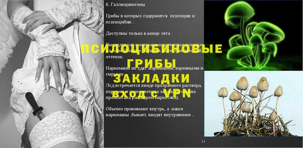 PSILOCYBIN Покровск