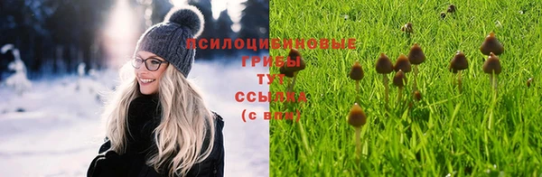 винт Беломорск