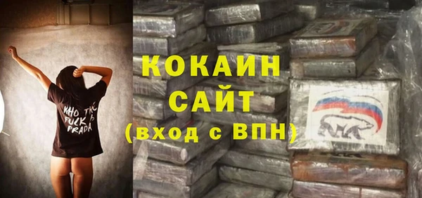 молекула духа Белокуриха